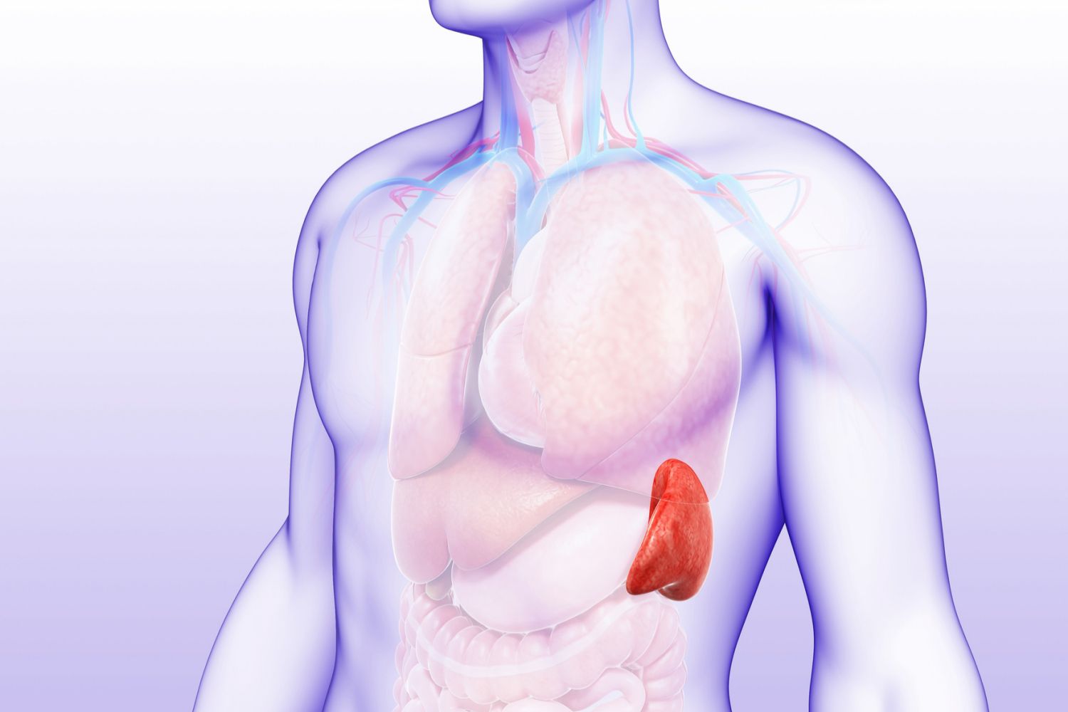 Chấn thương lách trong chấn thương bụng kín 1 spleen abdomen 5a7f1cfdc6733500370078d0