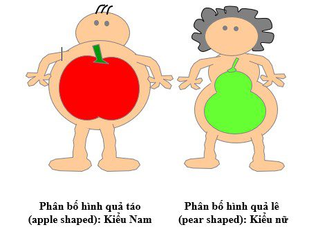  Minh họa bệnh béo phì ở hai giới