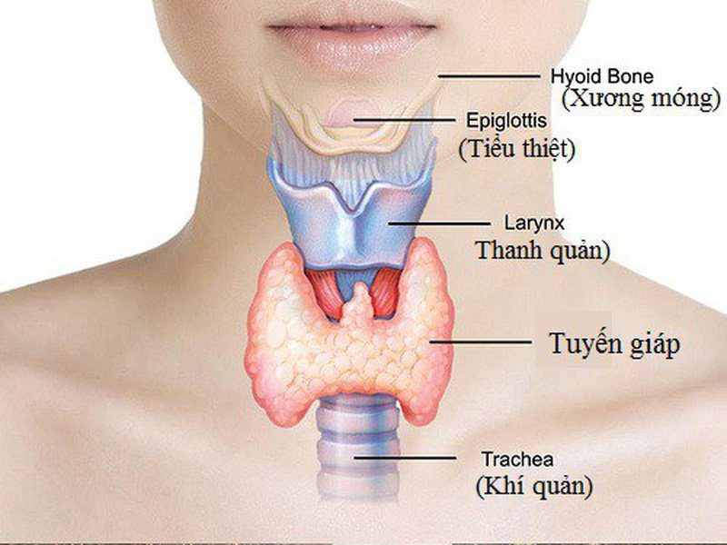 Bệnh viêm tuyến giáp mãn tính có nguy hiểm không?
