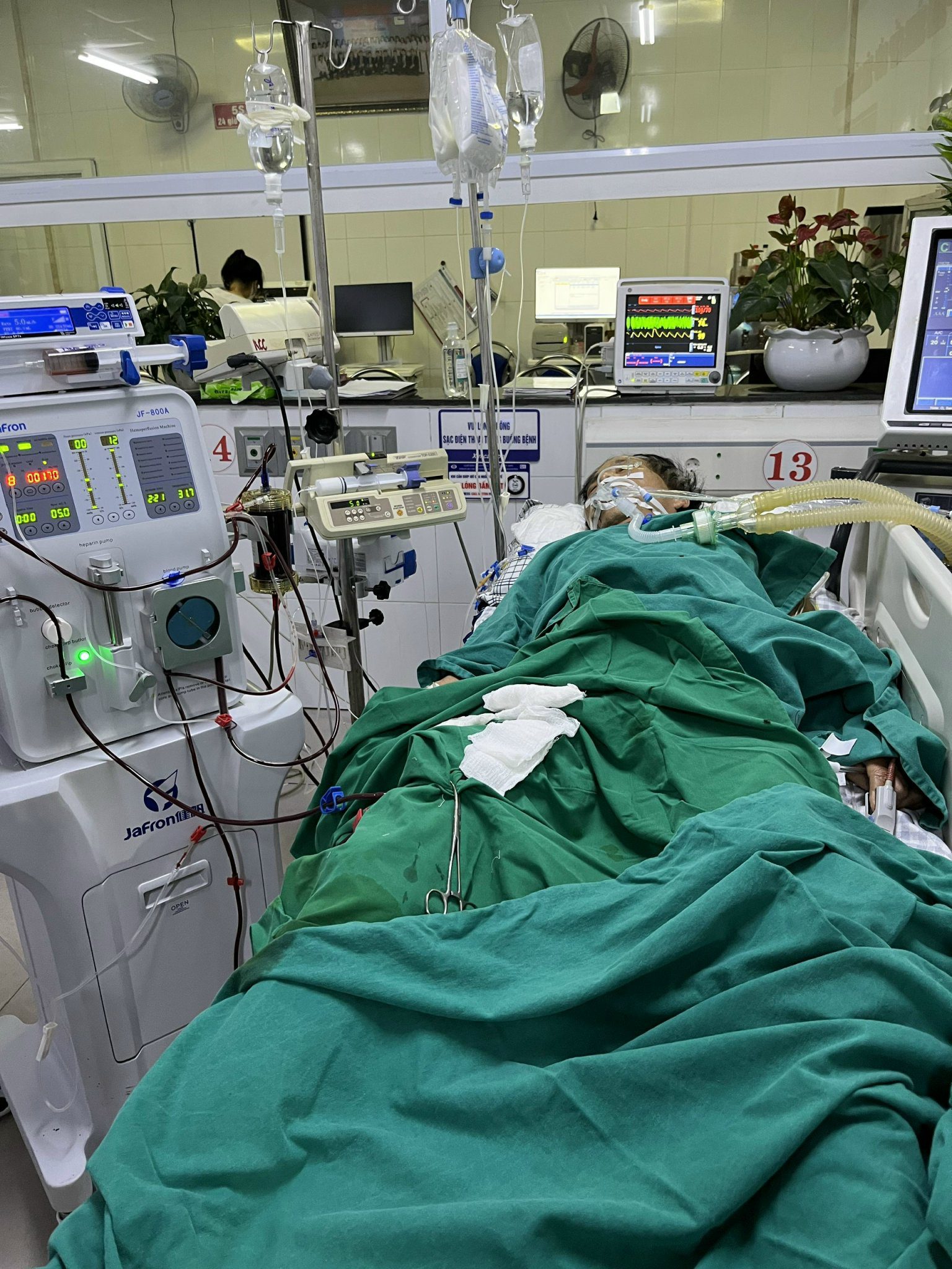 Người bệnh được điều trị bằng các biện pháp tích cực, hiện đại như thở máy, lọc máu hấp phụ...
