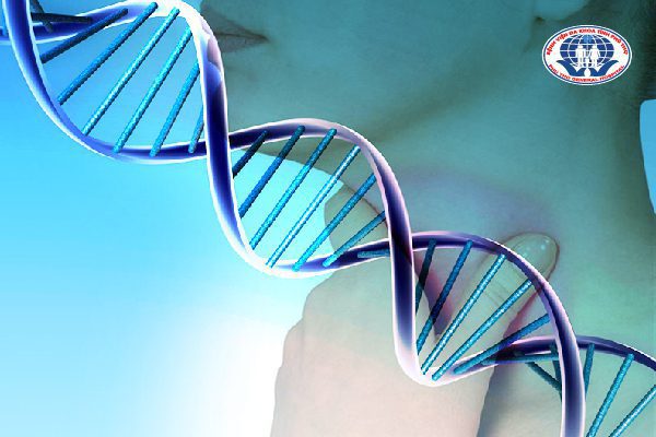 Di truyền gen được xem là một trong những nguyên nhân dẫn đến căn bệnh basedow