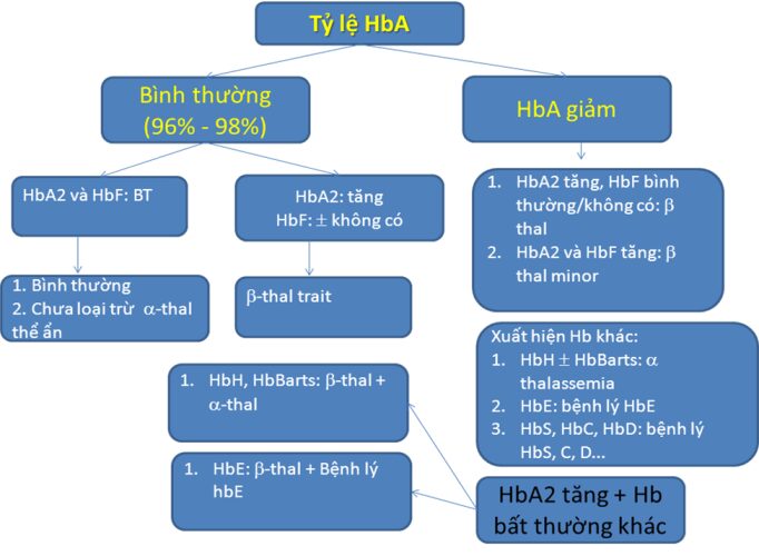 Hình 4: Ý nghĩa của xét nghiệm điện di huyết sắc tố