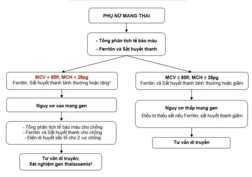 Hình 5: Đối tượng cần được sàng lọc Thalassemia