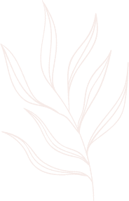elements line drawing leaves illustrations and art brushes 7UJ4G2S