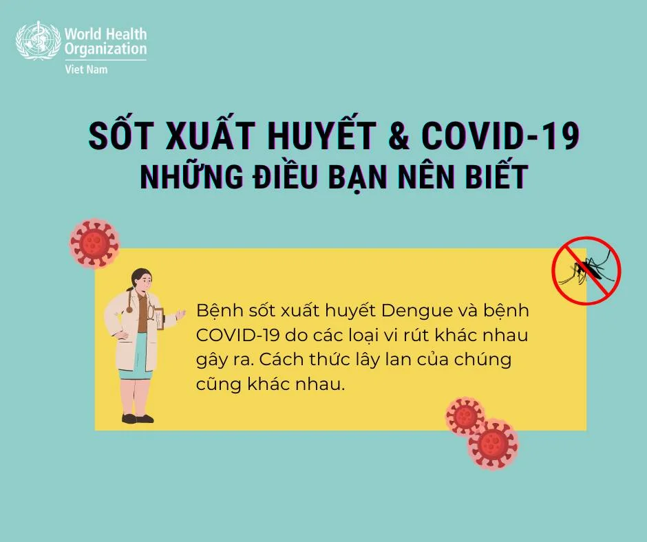 Sốt xuất huyết và COVID-19 là hai bệnh do hai loại virus khác nhau gây ra. (Nguồn WHO)