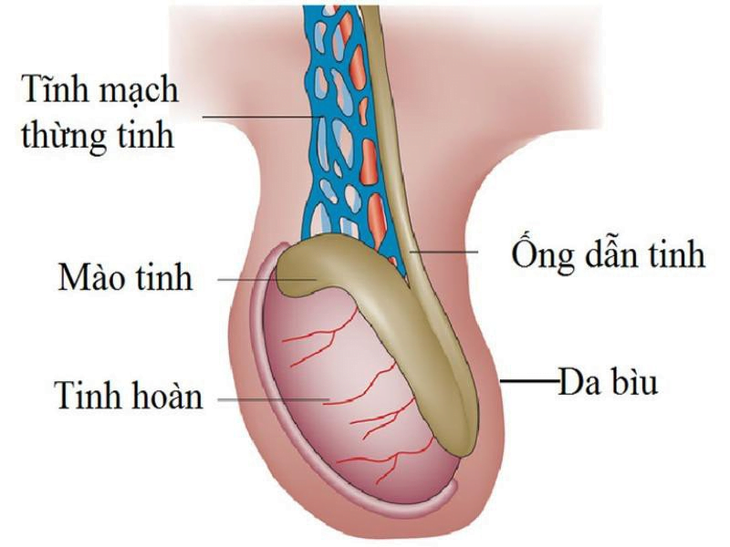 22022023 trandichmangtinhhoan 2