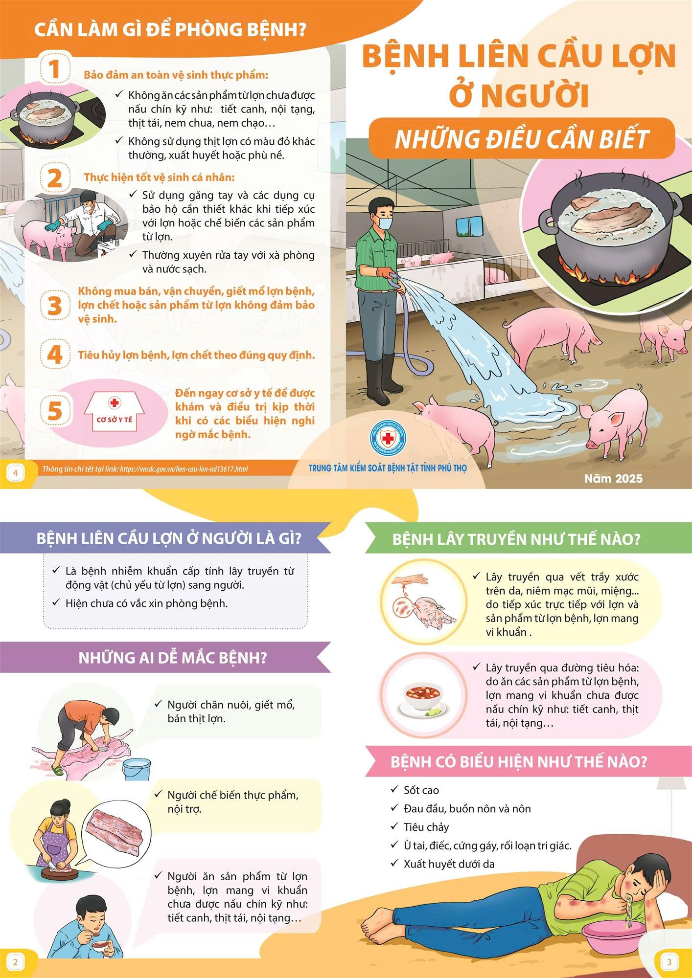 Infographic: Bệnh liên cầu lợn ở người và những điều cần biết
