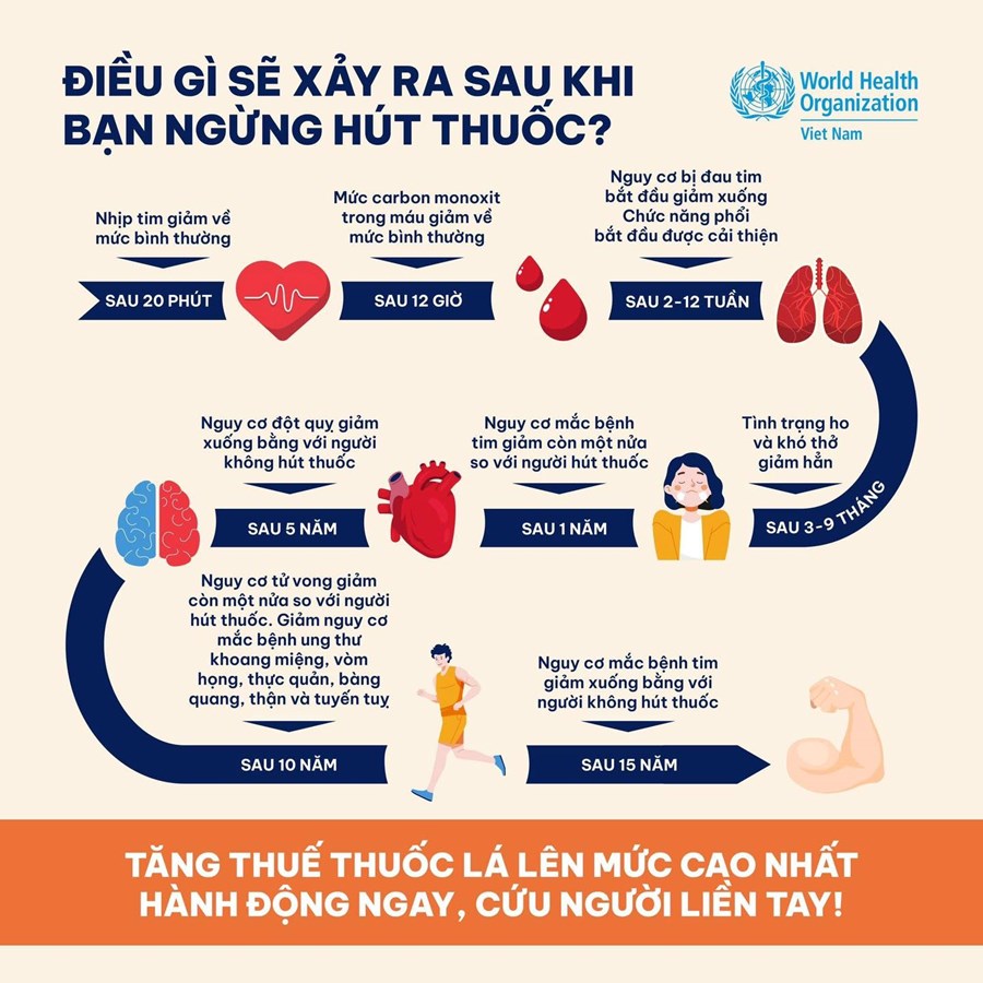 ĐIỀU GÌ SẼ XẢY RA NẾU BẠN NGỪNG HÚT THUỐC LÁ? 1 pcthtl