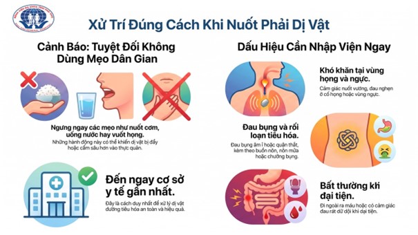 di vat duong tieu hoa 5