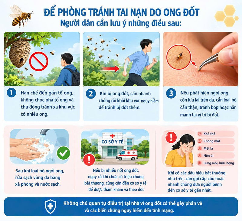 sốc phản vệ sau khi bị ong đốt